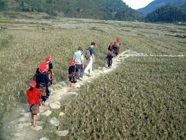 Ta Phìn, village de Dao rouge (Sapa, Lào Cai)