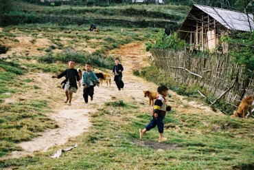 Ta Phìn, village de Dao rouge (Sapa, Lào Cai)