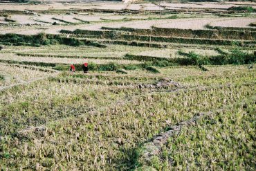 Ta Phìn, village de Dao rouge (Sapa, Lào Cai)