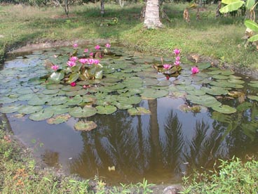 canton de Cu Chi (Ho Chi Minh ville) canton de Cu Chi (Ho Chi Minh ville)