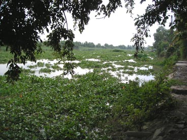 rivière Saigon (canton de Cu Chi, Ho Chi Minh ville) rivière Saigon (canton de Cu Chi, Ho Chi Minh ville)