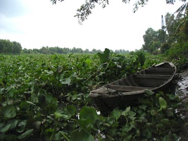 rivière Saigon (canton de Cu Chi, Ho Chi Minh ville) rivière Saigon (canton de Cu Chi, Ho Chi Minh ville)