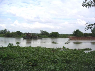 rivière Saigon (canton de Cu Chi, Ho Chi Minh ville) rivière Saigon (canton de Cu Chi, Ho Chi Minh ville)