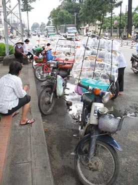 avenue Bach Dang, devant le temple de Le Van Duyet (1763-1832)(quartier 1, arrondissement de Binh Thanh, Ho Chi Minh ville) avenue Bach Dang, devant le temple de Le Van Duyet (1763-1832)(quartier 1, arrondissement de Binh Thanh, Ho Chi Minh ville)
