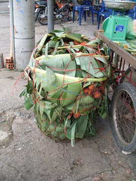 avenue Dinh Tien Hoang (quartier 1, arrondissement de Binh Thanh, Ho Chi Minh ville)