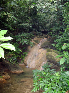 parc national de Cuc Phuong (Nho Quan, Ninh Binh)