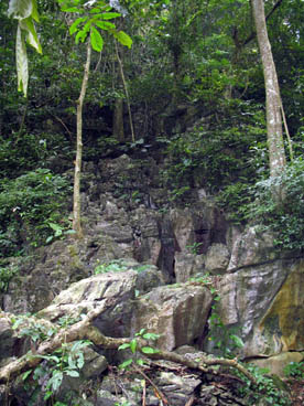 parc national de Cuc Phuong (Nho Quan, Ninh Binh)