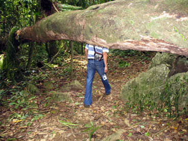parc national de Cuc Phuong (Nho Quan, Ninh Binh)