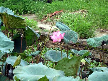 pagode de la tour au pinceau