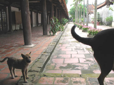 galerie, pagode de la tour au pinceau (Dinh Tô, Thuân Thành, Bac Ninh)