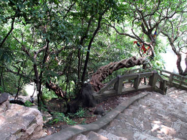 pagode du maître (Hoàng Xa, Phuong Cach, Quôc Oai, Hà Tây)