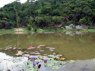 pagode Huyèn Không Son Thuong ( Huong Hô, Huong Trà, Thùa Thiên-Hué) pagode Huyèn Không Son Thuong ( Huong Hô, Huong Trà, Thùa Thiên-Hué)