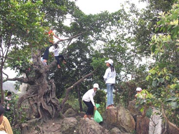 pagode Huyèn Không Son Thuong ( Huong Hô, Huong Trà, Thùa Thiên-Hué) pagode Huyèn Không Son Thuong ( Huong Hô, Huong Trà, Thùa Thiên-Hué)