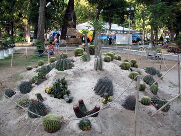 parc culturel municipal (quartier Ben Thanh, 1er arrondissement, Ho Chi Minh ville) parc culturel municipal (quartier Ben Thanh, 1er arrondissement, Ho Chi Minh ville)