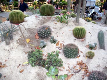 parc culturel municipal (quartier Ben Thanh, 1er arrondissement, Ho Chi Minh ville) parc culturel municipal (quartier Ben Thanh, 1er arrondissement, Ho Chi Minh ville)
