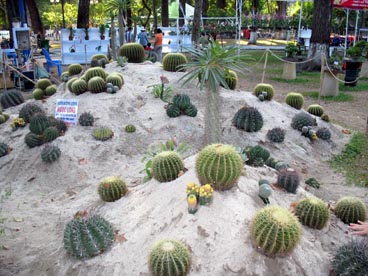parc culturel municipal (quartier Ben Thanh, 1er arrondissement, Ho Chi Minh ville) parc culturel municipal (quartier Ben Thanh, 1er arrondissement, Ho Chi Minh ville)