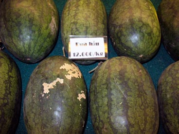 pastèque