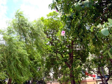 lac de l'épée restituée ou de l'épée (arrondissement de Hoan Kiem, Hanoi)