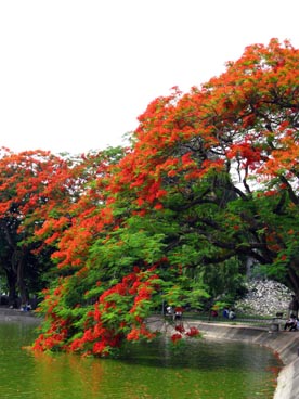 lac de l'épée restituée ou de l'épée (arrondissement de Hoan Kiem, Hanoi)