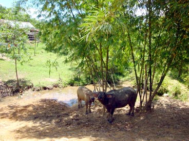 Hué-tombeau de Gia Long (1762-1802-1820)