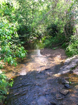 sanctuaire de My Son (Duy Phu, Duy Xuyên, Quang Nam)