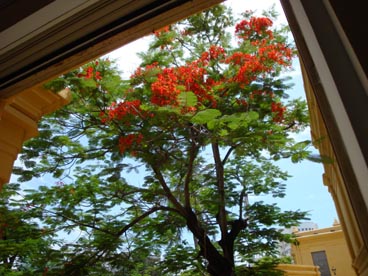 musée Cham (Danang)