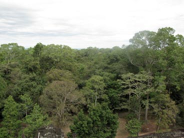 site d'Angkor (Siem Reap, Cambodge)