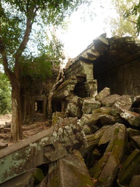 Ta Prohm (l'ancêtre Brahmâ), milieu du XII° au début du XIII° siècle, culte bouddhique, site d'Angkor (Siem Reap, Cambodge)