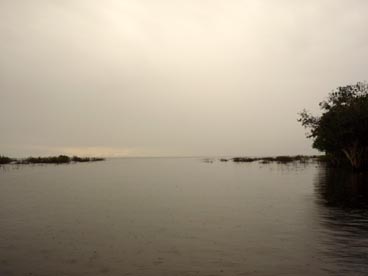 Tonle Sap (Siem Reap, Cambodge)