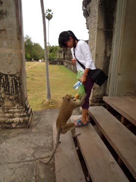 Angkor Wat, première moitié du XII° siècle, culte brahmanique, site d'Angkor (Siem Reap, Cambodge)