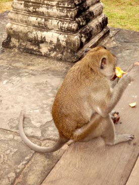 Angkor Wat, première moitié du XII° siècle, culte brahmanique, site d'Angkor (Siem Reap, Cambodge)