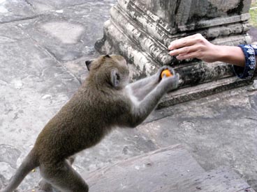 Angkor Wat, première moitié du XII° siècle, culte brahmanique, site d'Angkor (Siem Reap, Cambodge)