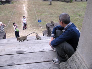 Angkor Wat, première moitié du XII° siècle, culte brahmanique, site d'Angkor (Siem Reap, Cambodge)