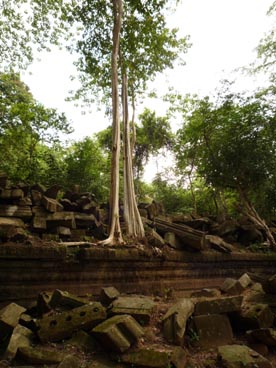 Beng Melea (Siem Reap, Cambodge)