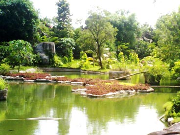 rivière Bao Giang, Dai Nam Quoc Tu (Lac Canh Dai Nam Van Hien, Phuong Hiep An, Thu Dau Mot, Binh Duong)