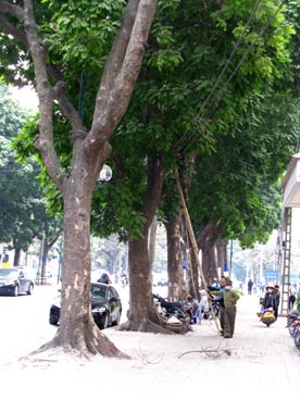 54 rue Tran Hung Dao (arrondissement de Hoan Kiem, Hanoi)