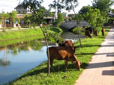 pont à toiture en tuile de Thanh Toan (Thuy Thanh, Huong Thuy, Hué, Thùa Thiên-Hué)