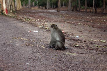 Angkor Thom, site d'Angkor (Siem Reap, Cambodge)