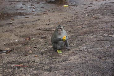 Angkor Thom, site d'Angkor (Siem Reap, Cambodge)