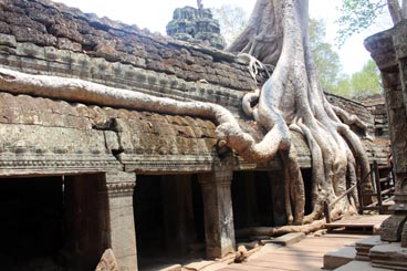 Ta Prohm (l'ancêtre Brahmâ), milieu du XII° au début du XIII° siècle, culte bouddhique, site d'Angkor (Siem Reap, Cambodge)