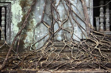Beng Mealea (Siem Reap, Cambodge)