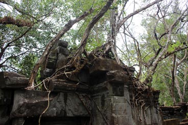 Beng Mealea (Siem Reap, Cambodge)