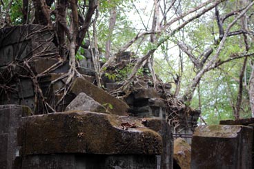 Beng Mealea (Siem Reap, Cambodge)